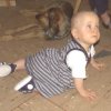 BAAUGUST019
